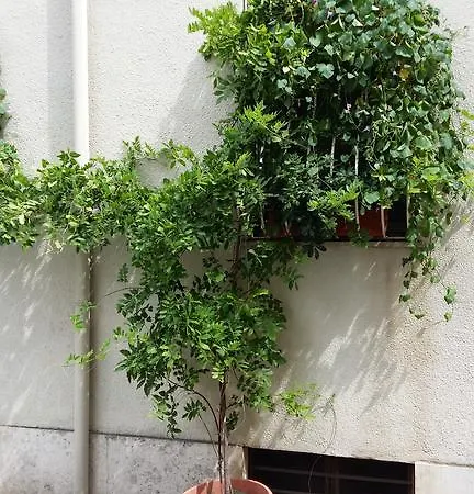 La Pera Volpina Monteverde Vecchio Appartamento Roma