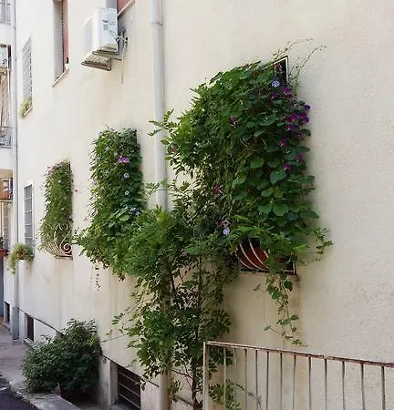Appartamento La Pera Volpina Monteverde Vecchio Roma